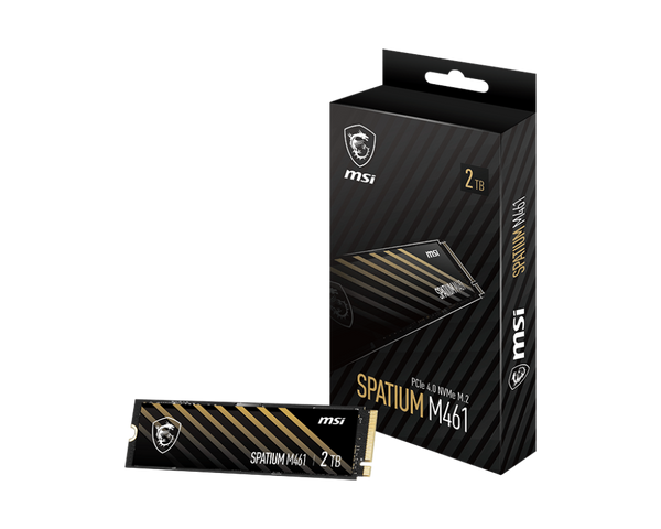 MSI SPATIUM M461 2TB Nvme