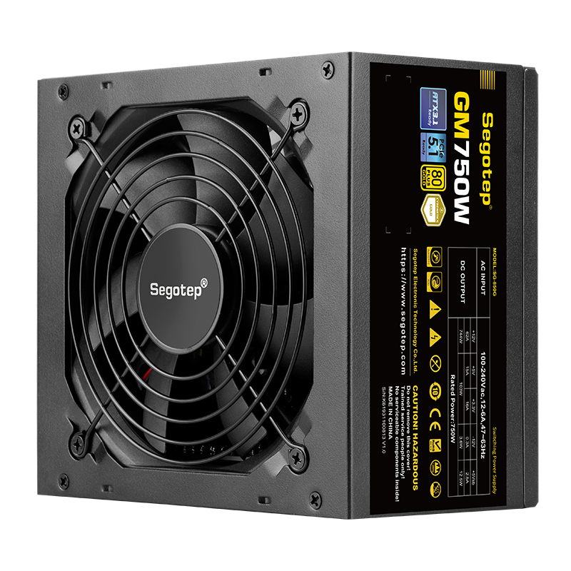 SEGOTEP GM750W 80 PLUS GOLD ATX 3.1 FULLY MODULAR - BLACK