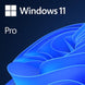 WINDOWS 11 PRO WITH DRIVERS