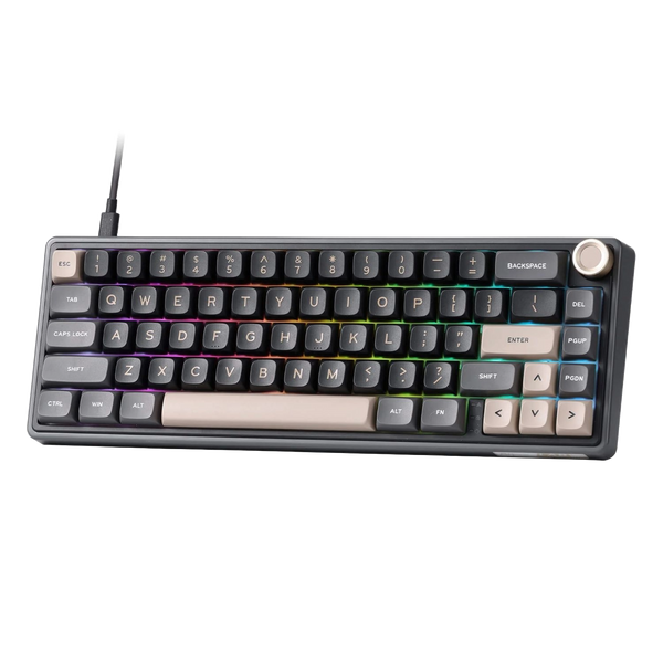 ROYAL KLUDGE RK65 65% HOT-SWAPPABLE CHARTREUSE SWITCHES