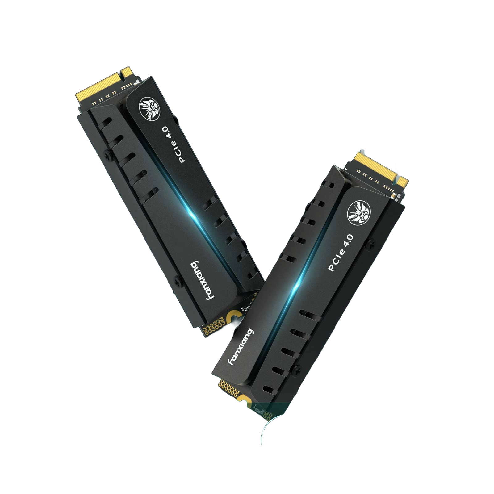 FANXIANG S770 1TB WITH HEATSINK Nvme
