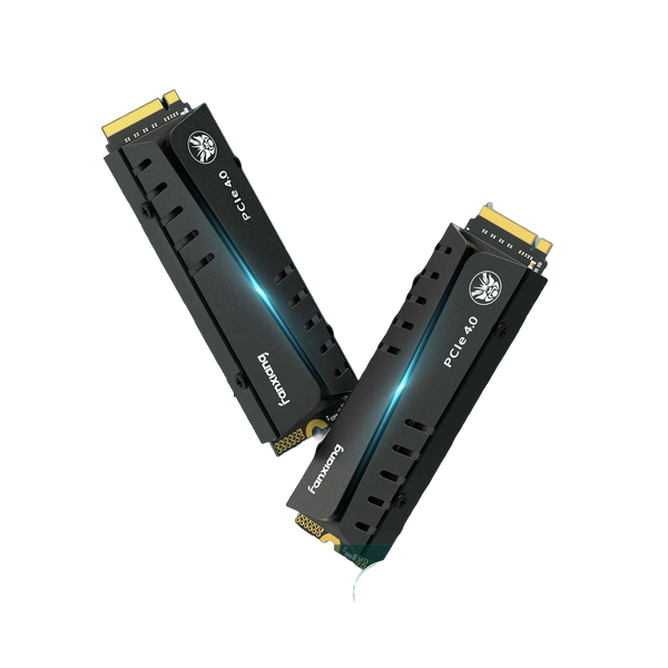 FANXIANG S770 1TB WITH HEATSINK Nvme