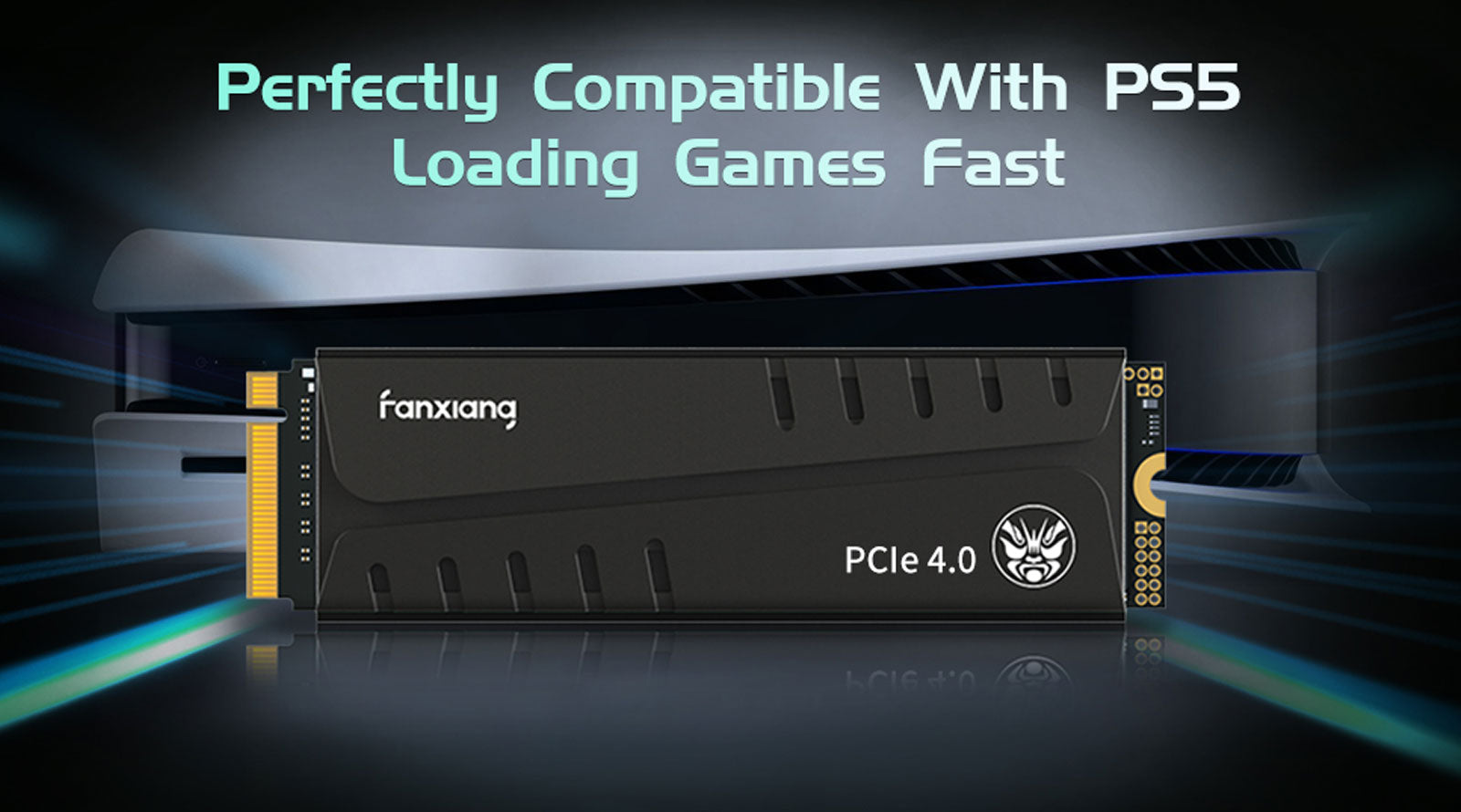 FANXIANG S770 1TB WITH HEATSINK Nvme