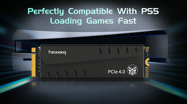 FANXIANG S770 1TB WITH HEATSINK Nvme