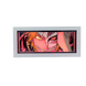 BLEACH ICHIGO KUROSAKI LIGHTBOX - L25