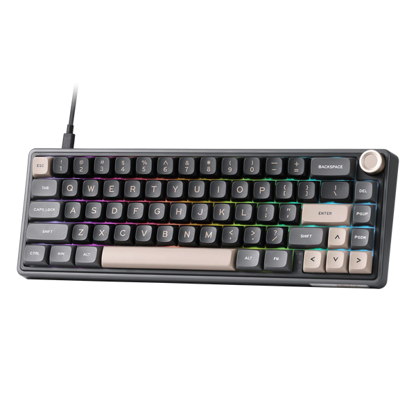 ROYAL KLUDGE RK65 65% HOT-SWAPPABLE CHARTREUSE SWITCHES