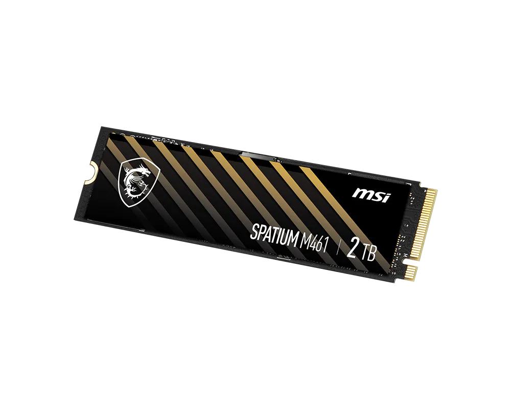 MSI SPATIUM M461 2TB Nvme