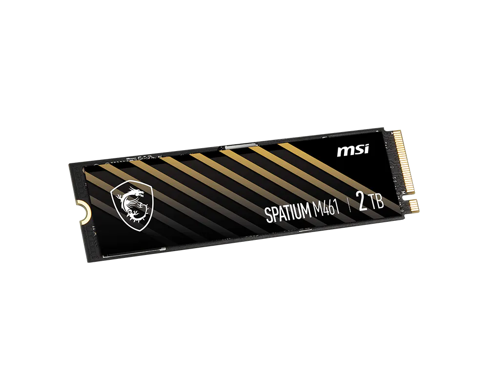 MSI SPATIUM M461 2TB Nvme