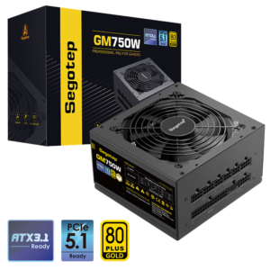 SEGOTEP GM750W 80 PLUS GOLD ATX 3.1 FULLY MODULAR - BLACK