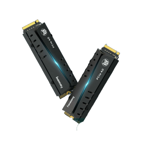 FANXIANG S770 1TB PCIe 4.0 NVMe SSD